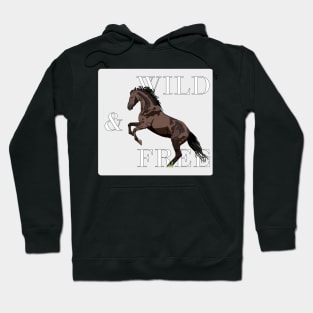 Wild & Free Hoodie